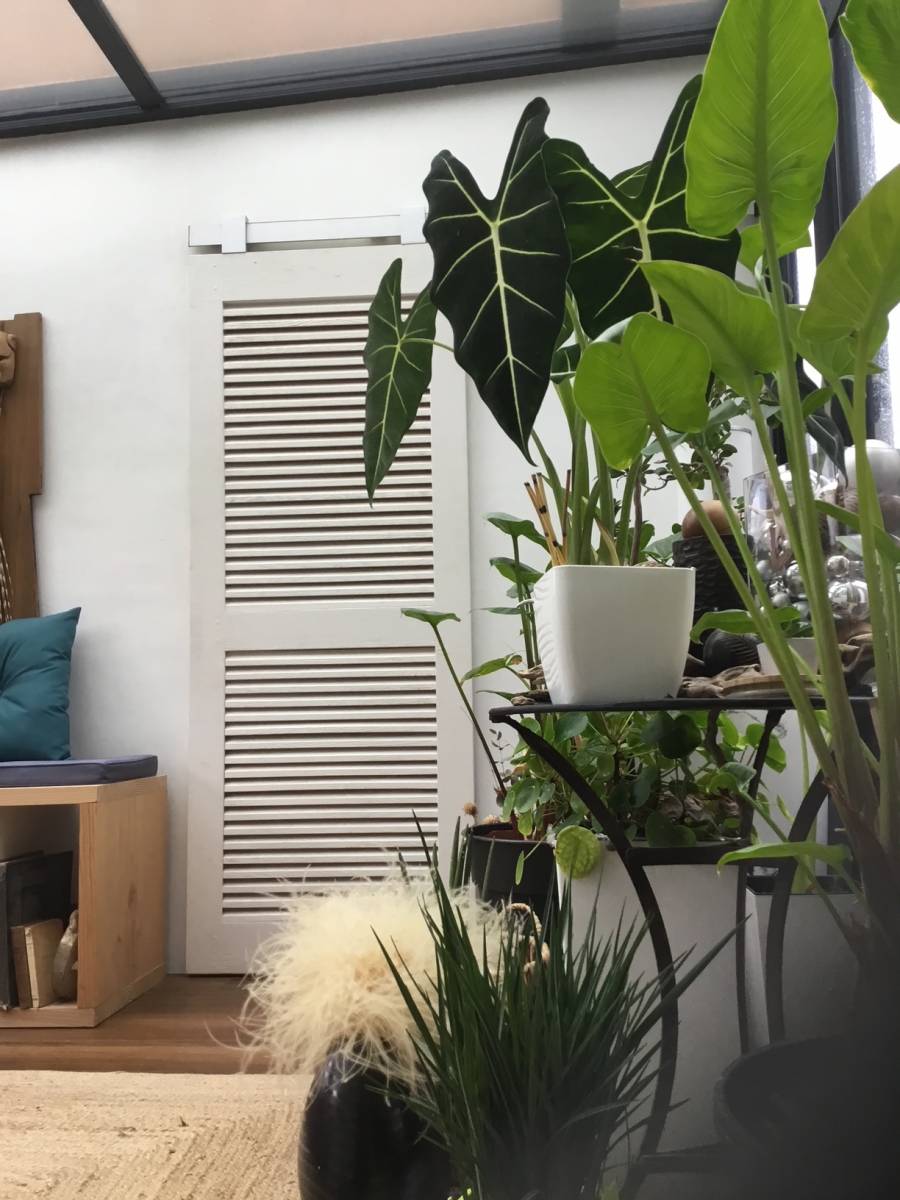 Fabricant de volets battants en bois à lames croisées verticales et horizontales Marseille