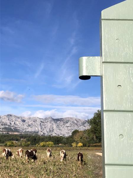 Vivre dans le Sud de la France, c’est avoir l’honneur de prendre une photo de l’un de nos volets CTBX au milieu des vaches ! ;)