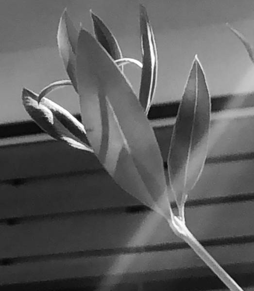 Fabricants de volets coulissants sur mesure fabriqués à Auriol et posés à Saint Cyr