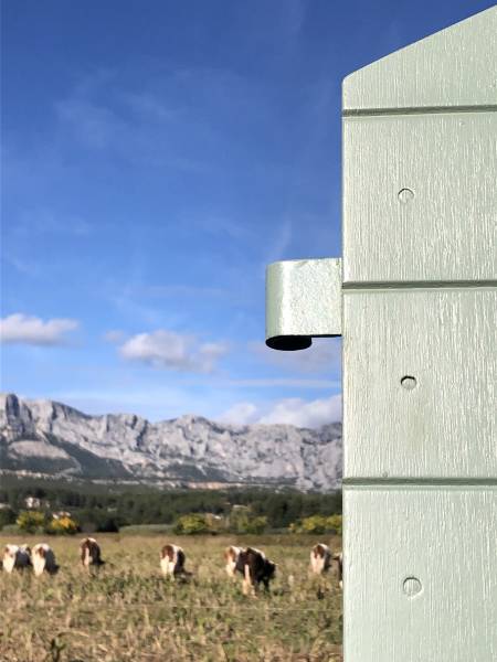 Vivre dans le Sud de la France, c’est avoir l’honneur de prendre une photo de l’un de nos volets CTBX au milieu des vaches ! ;)