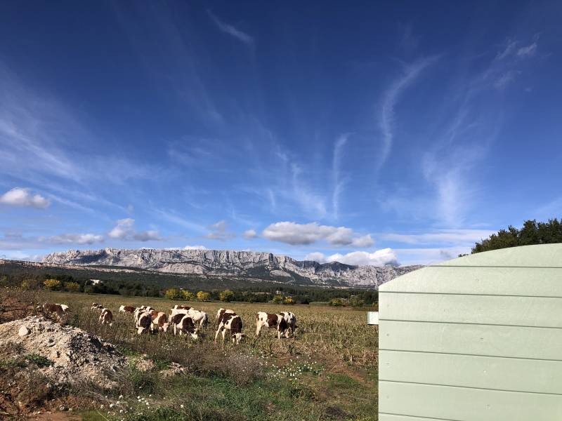 Vivre dans le Sud de la France, c’est avoir l’honneur de prendre une photo de l’un de nos volets CTBX au milieu des vaches ! ;)