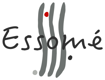 Coaching en développement du leadership Lyon Essomé