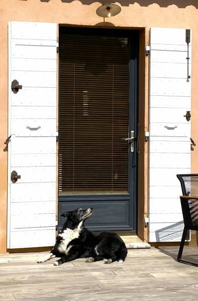 Acheter des volets bois artisanaux sur-mesure proche de Marseille ( La Valentine, Eoures, Allauch )