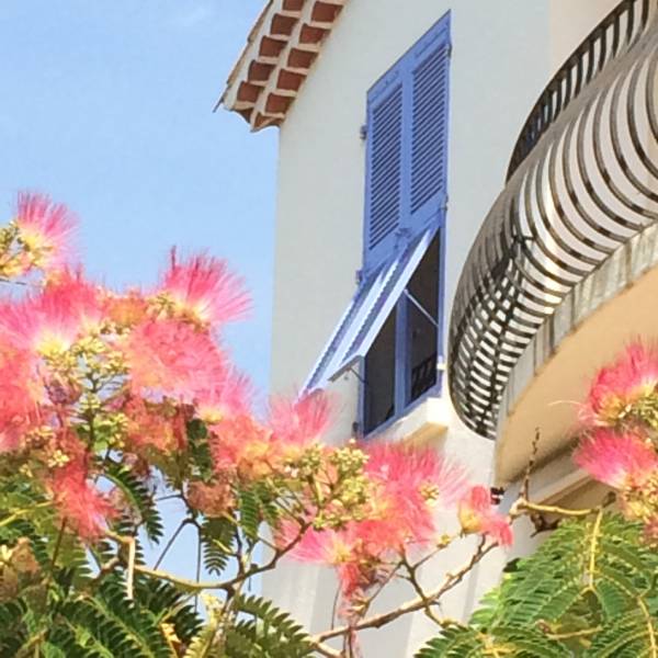 Création de volets portisol bleus en bois pin silvestre pour un client de Saint Zacharie proche de Nans les Pins
