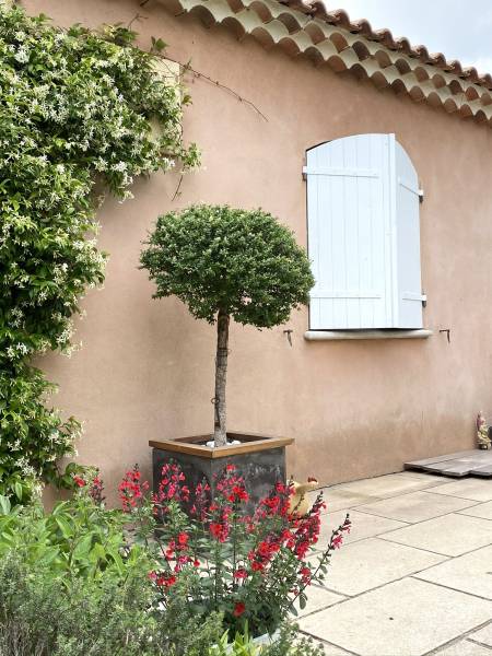 Remplacement de volets provençaux à Eygiueres, Lamanon, Aureilles, Vernègues; Salon de Provence