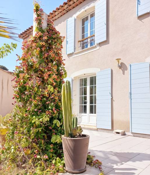 Volet provençaux à Marseille dans le 13