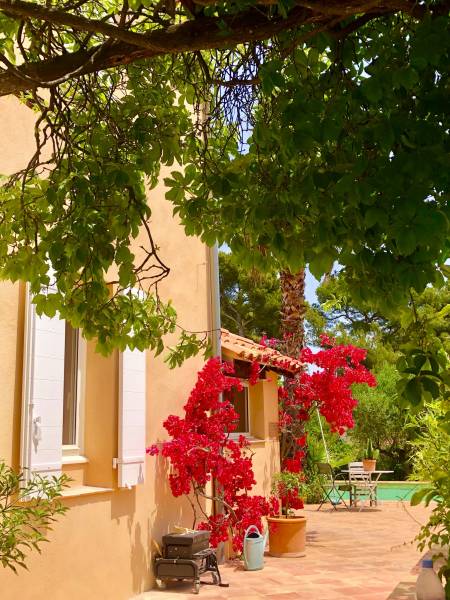 Pourquoi choisir des volets en bois sur-mesure pour sa maison du Sud de la France ?
