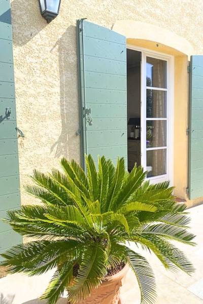 Les essences de bois utilisées pour la fabrication de vos volets bois