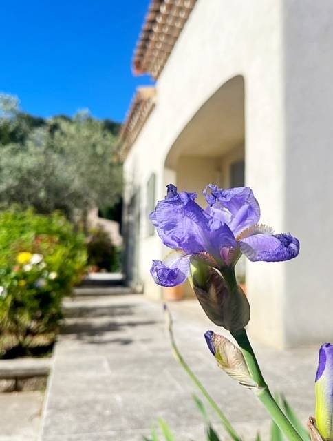 Remise en peinture de volets bois provençaux CTBX à Rognac