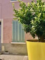 Nos prestations sur le secteur de Marseille