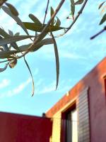 Notre zone d'activité pour ce service Vente et pose de volets traditionnels