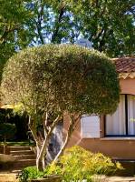 Nos prestations sur le secteur de Allauch