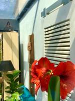 Nos prestations sur le secteur de Allauch