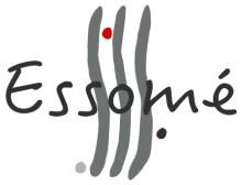 Coaching en développement du leadership Lyon Essomé