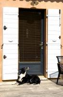 Nos prestations sur le secteur de Sanary-sur-Mer