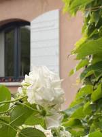 Nos prestations sur le secteur de Aix-en-Provence