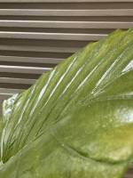 Nos prestations sur le secteur de Aix-en-Provence